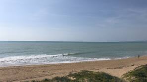 Una spiaggia nelle vicinanze, pesca