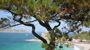 Plage à proximité