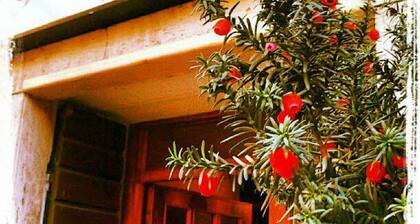 Albergo Ariosto