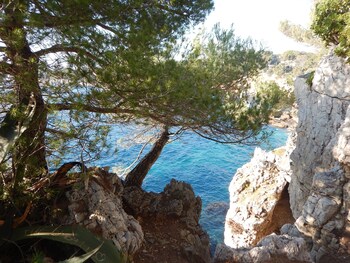 Hotel Miramar Cap Dantibes Reviews Photos Rates