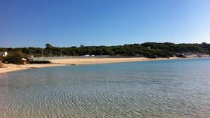 Windsurf, surf, vela