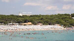 Windsurf, surf, vela