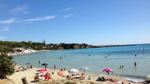 Windsurf, surf, vela