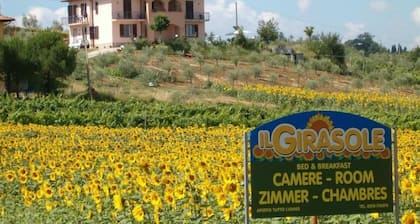 Il Girasole Bed & Breakfast