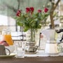Bed and Breakfast La Bouganville in Rosignano Marittimo, Italy
