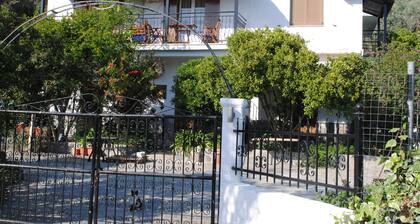 Stelios Studios