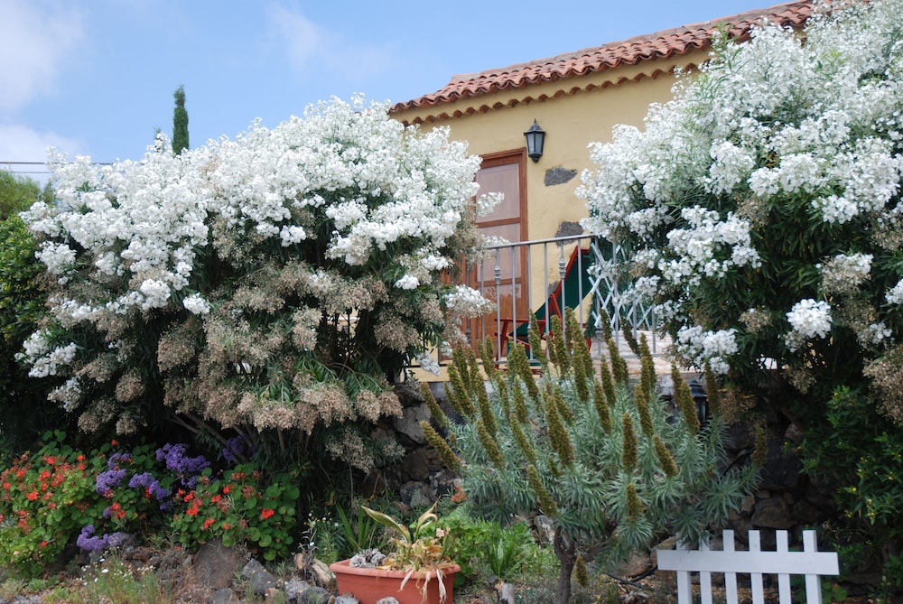 Foto - Hotel Rural La Correa del Almendro & Bubble Experience - Adults Only