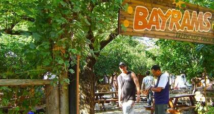 Bayrams Tree Houses