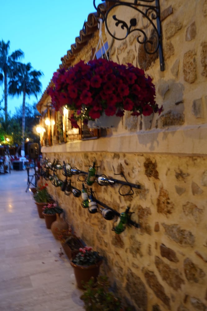 Photo - Blue Sea Garden