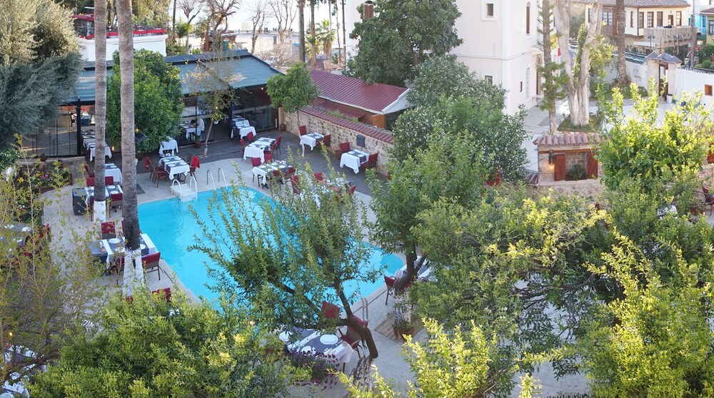 Photo - Blue Sea Garden