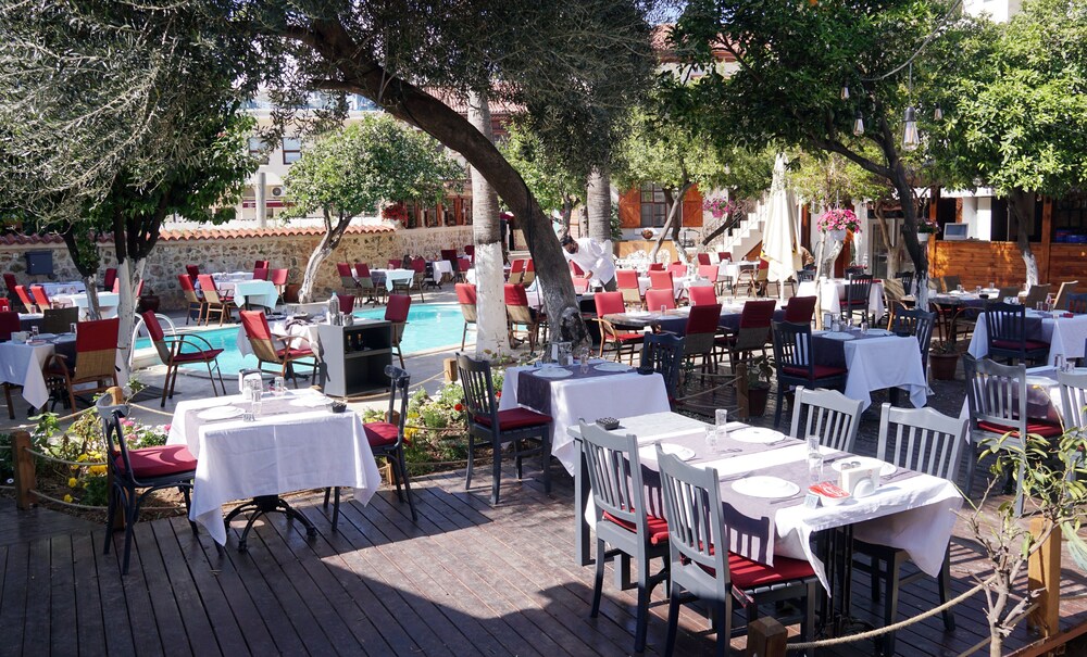 Photo - Blue Sea Garden