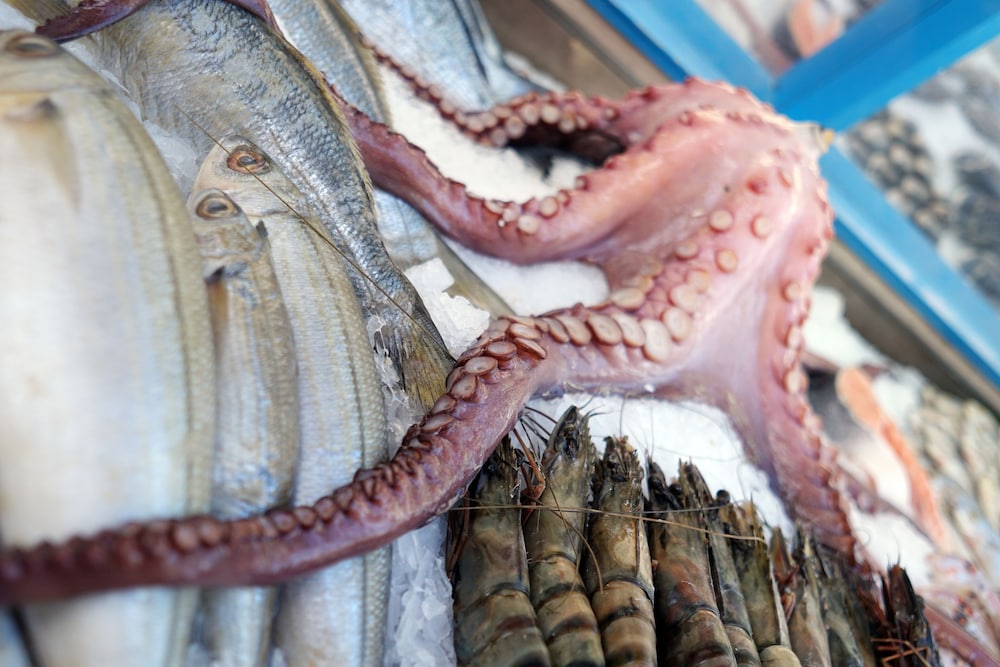 Photo - Blue Sea Garden