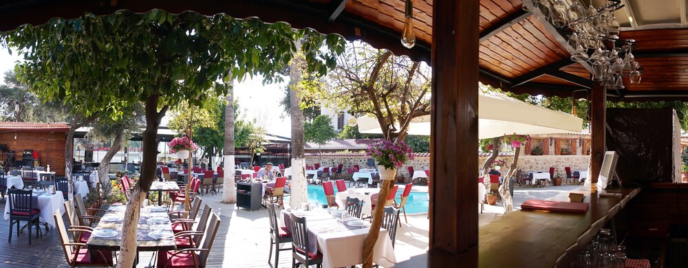 Photo - Blue Sea Garden