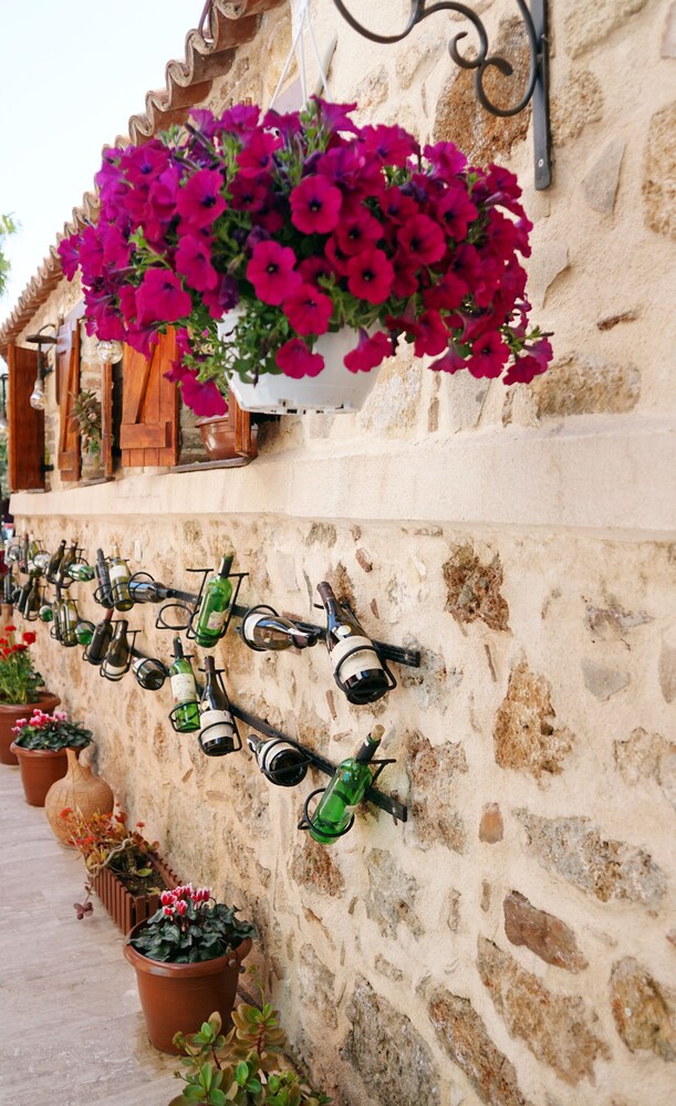 Photo - Blue Sea Garden