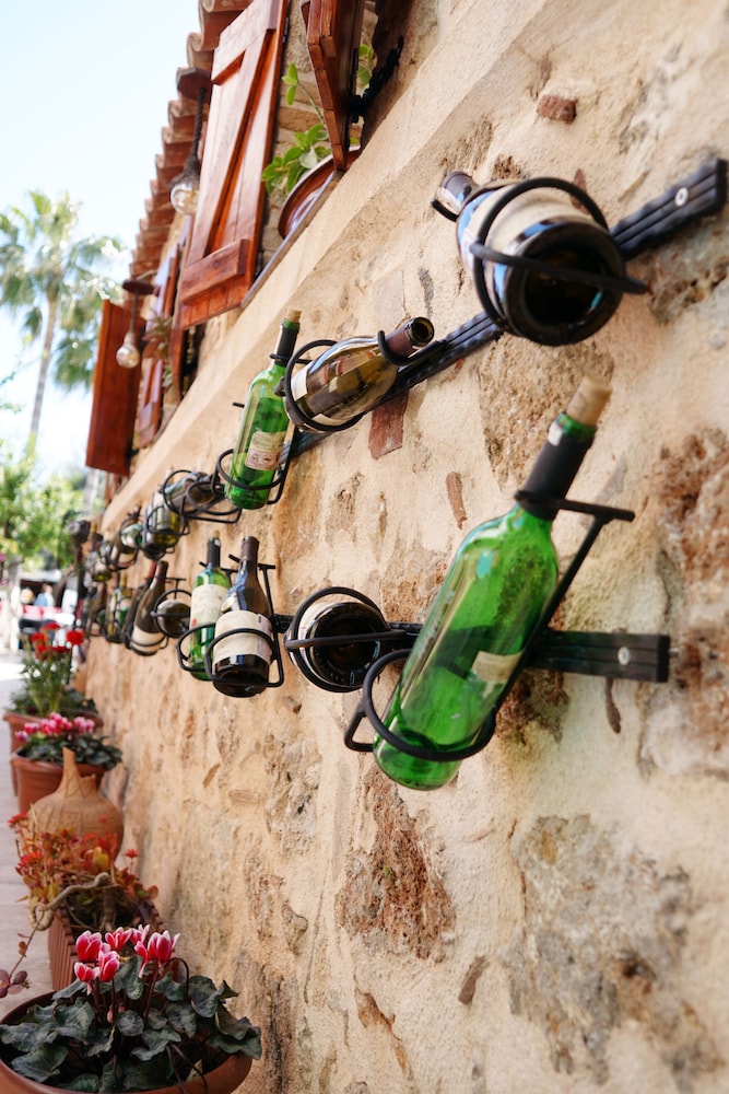 Photo - Blue Sea Garden