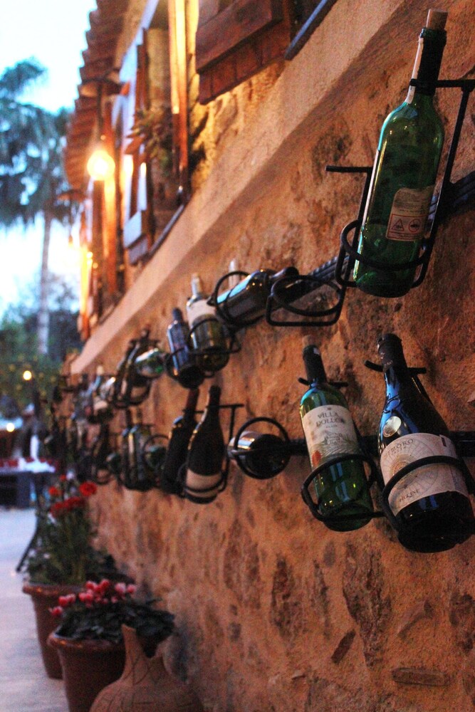 Photo - Blue Sea Garden