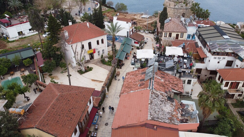 Photo - Blue Sea Garden