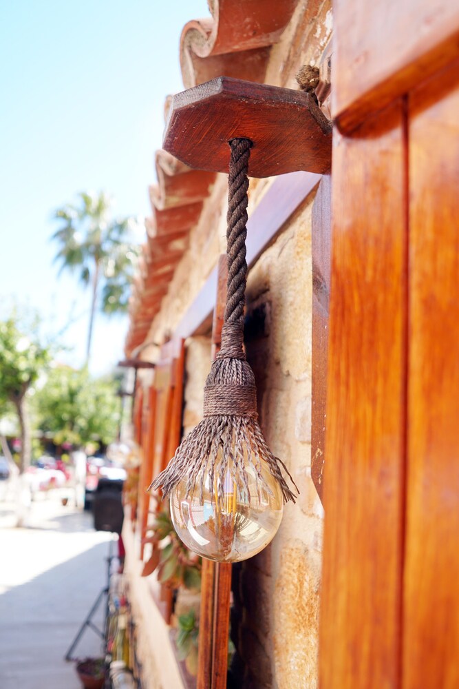 Photo - Blue Sea Garden