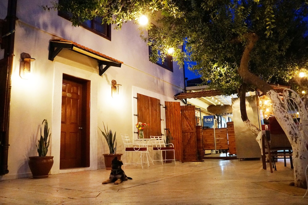 Photo - Blue Sea Garden