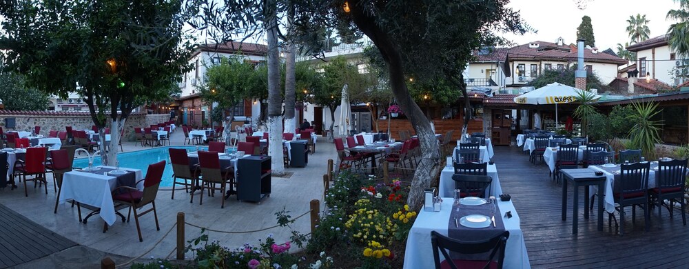 Photo - Blue Sea Garden