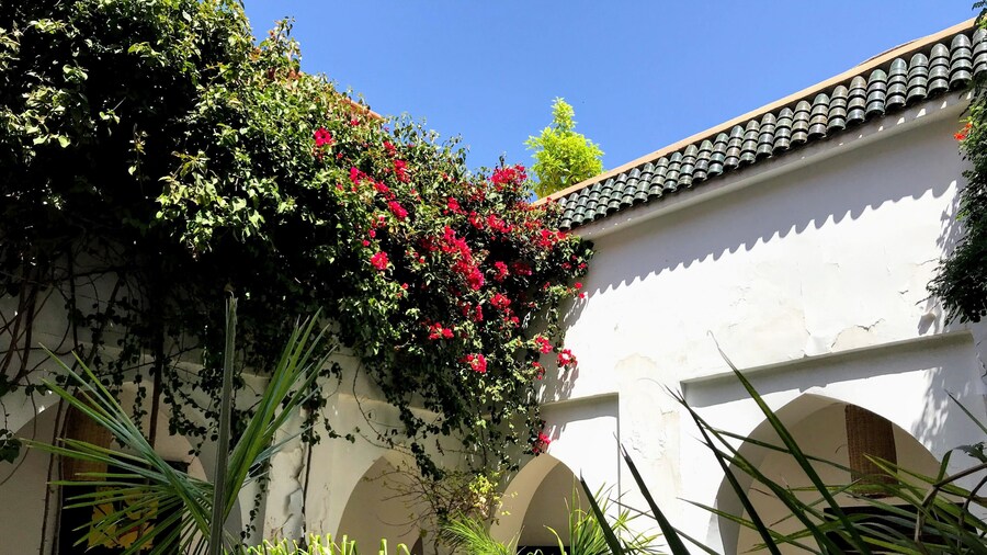 Riad Dar Zaman