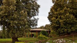 2 piscinas al aire libre