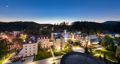 Grand Hotel Sava Superior