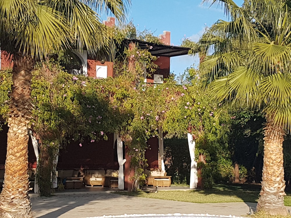 Photo - Palace Africa - Marrakech Palmeraie