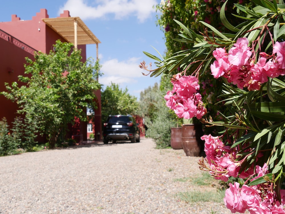 Photo - Palace Africa - Marrakech Palmeraie