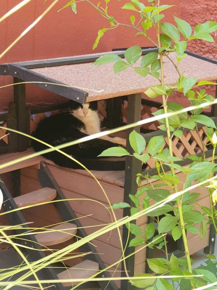 Photo - Palace Africa - Marrakech Palmeraie