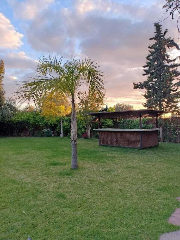 Photo - Palace Africa - Marrakech Palmeraie