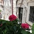 Apartment Dubrovnik-Center