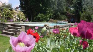 Outdoor pool, sun loungers