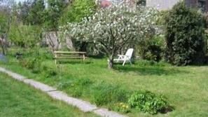 Jardines del establecimiento