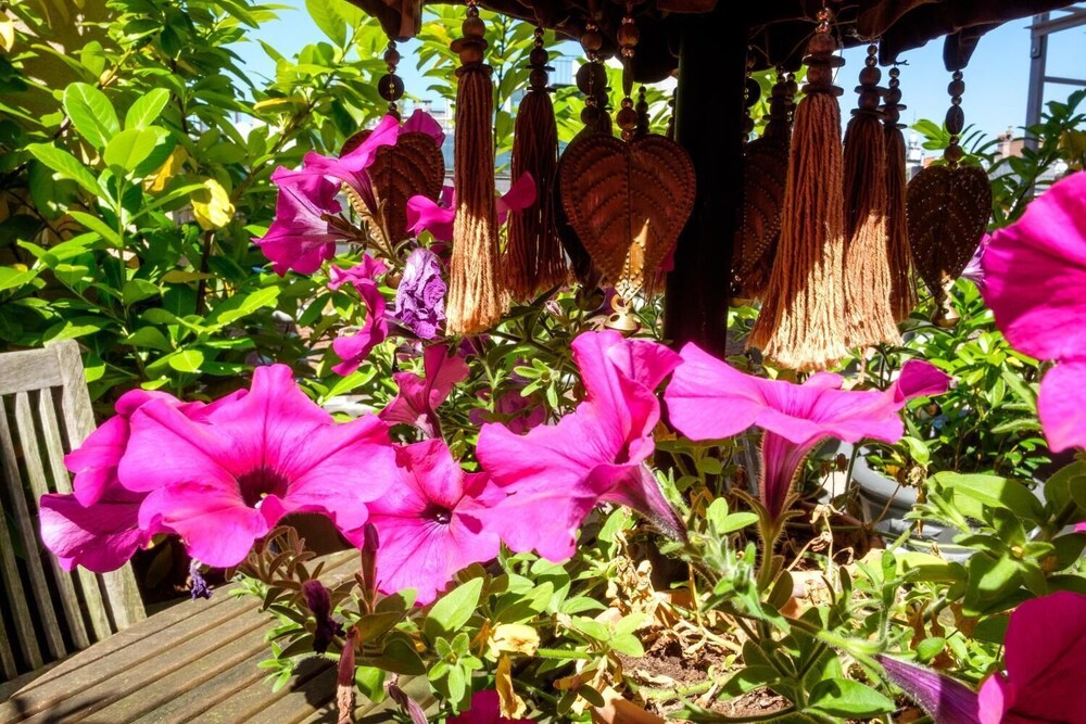 Photo - Hotel Diamonds and Pearls