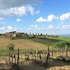 Tenuta di Corsano in Monteroni DʼArbia, Italy