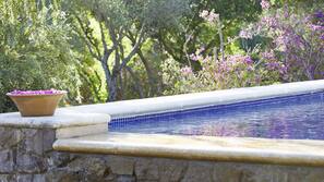 Seasonal outdoor pool, sun loungers