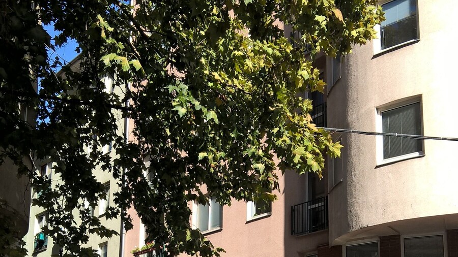 Boulevard City Pension and Apartments