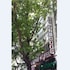 Hotel Abro Necatibey