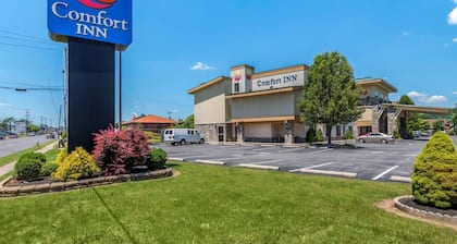 Comfort Inn Williamsport