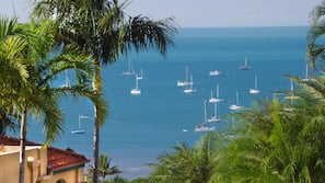 Beach nearby, white sand