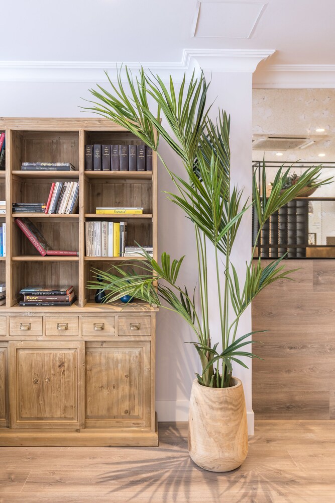 Foto - BYPILLOW Velázquez 45