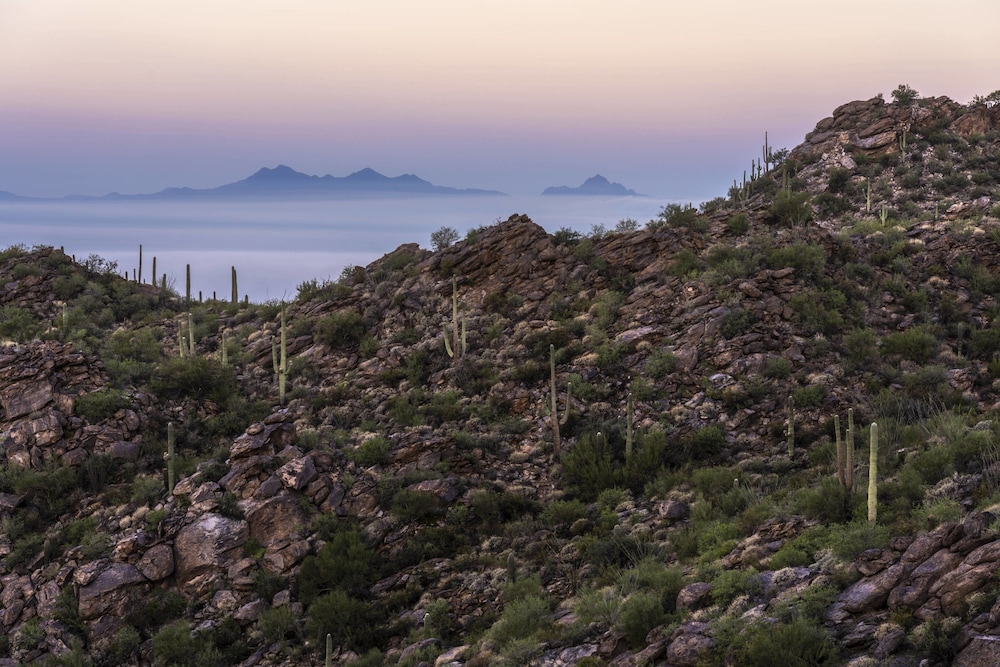 The Ritz-Carlton, Dove Mountain