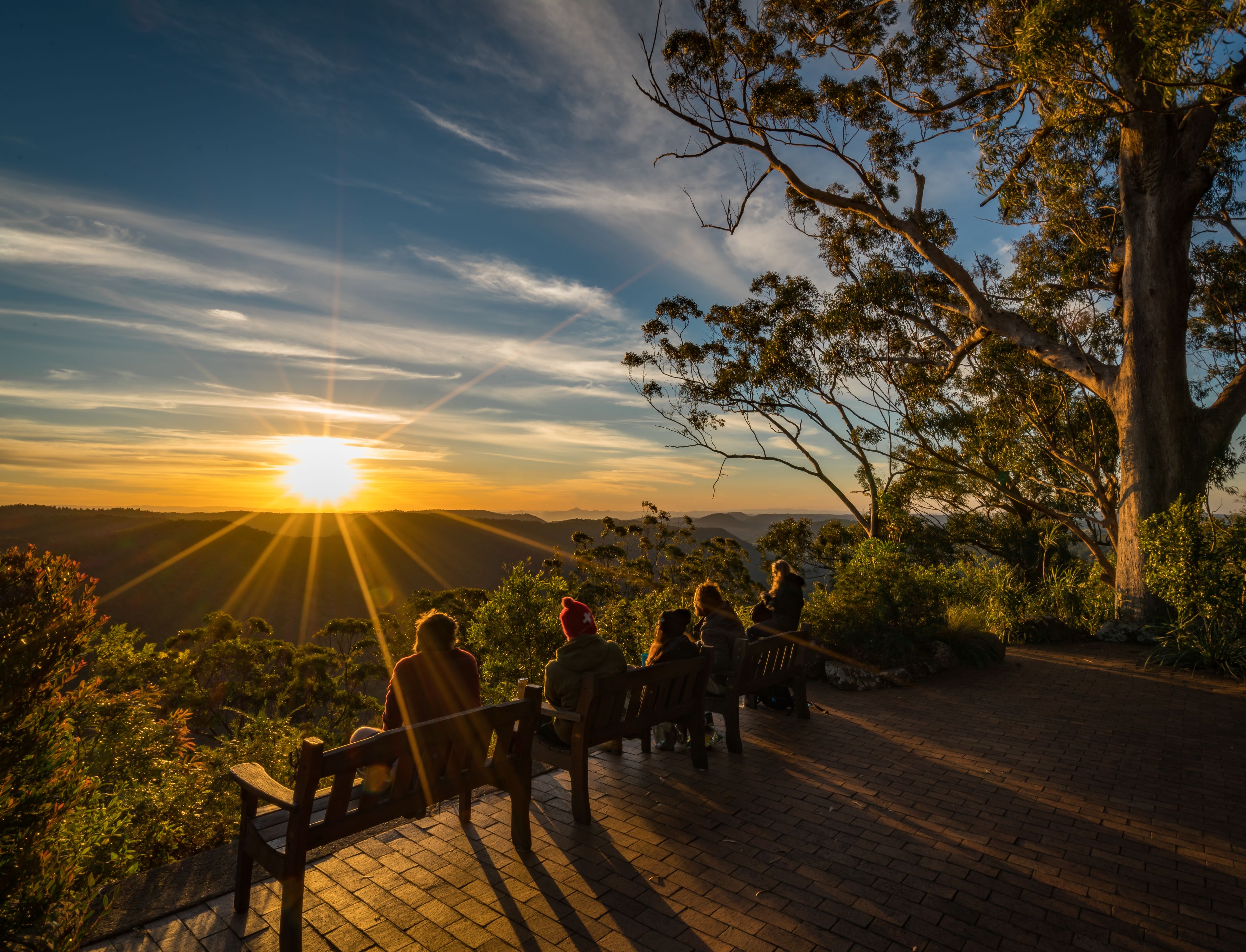 Binna Burra Sky Lodges