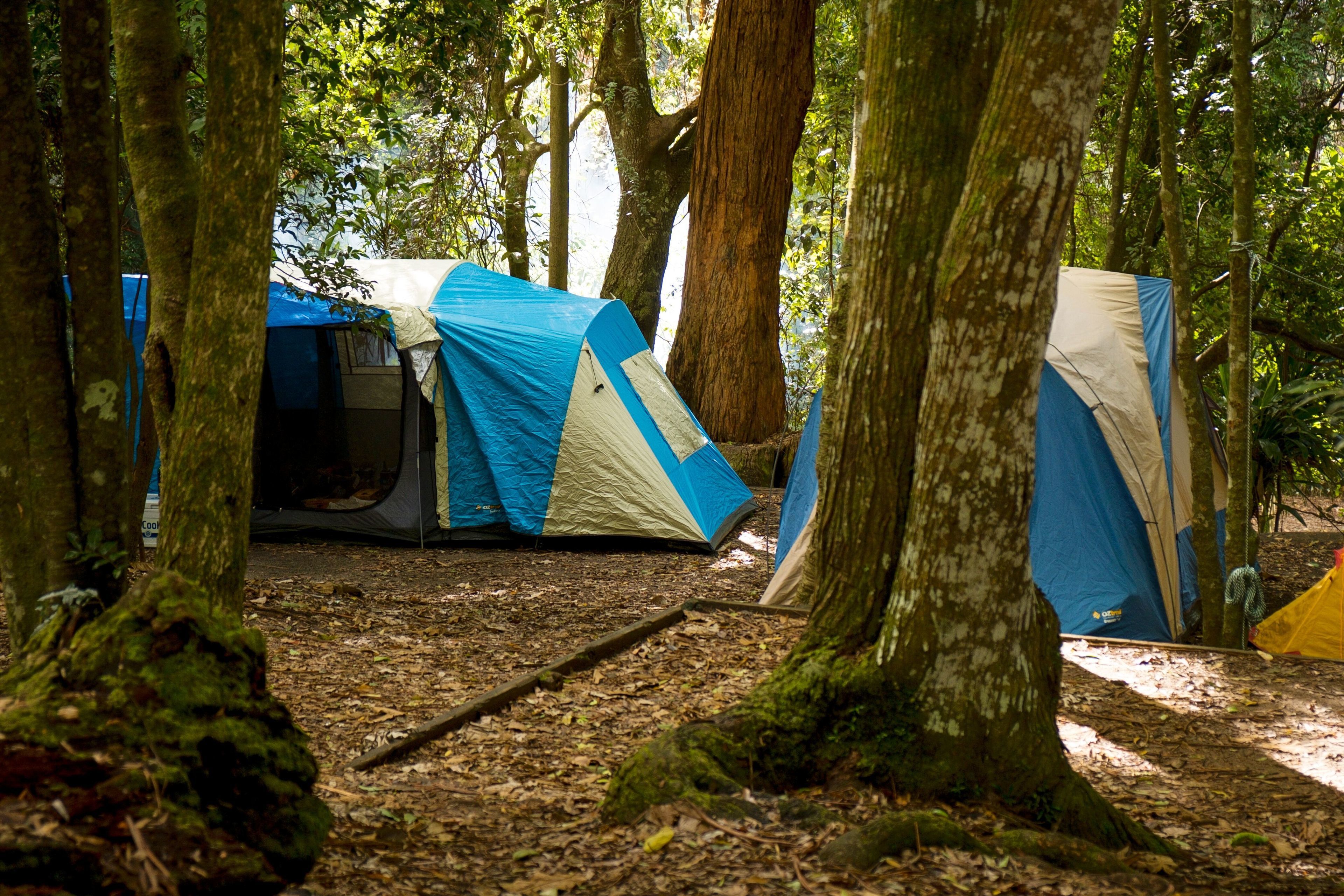 Binna Burra Sky Lodges