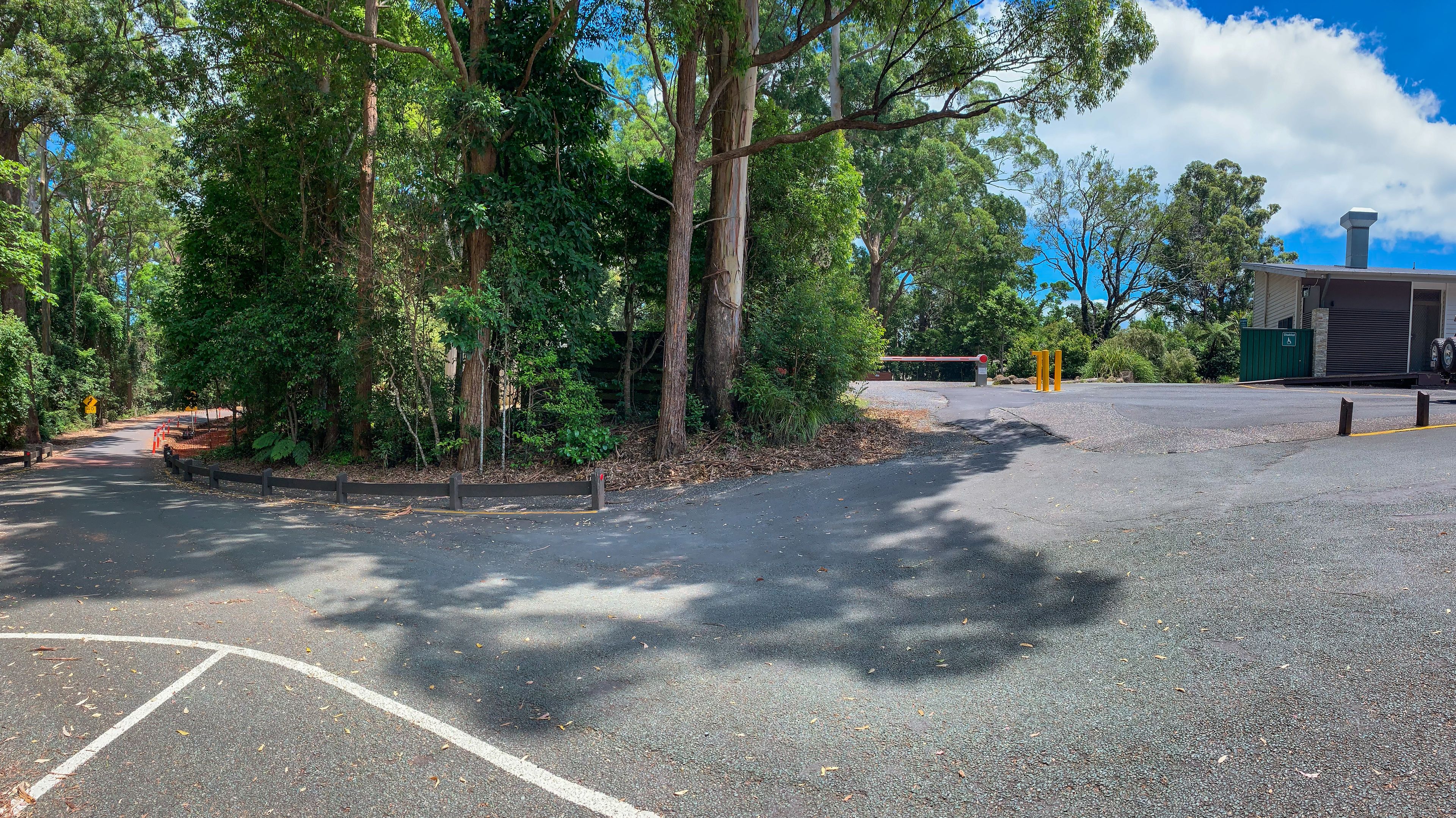 Binna Burra Sky Lodges