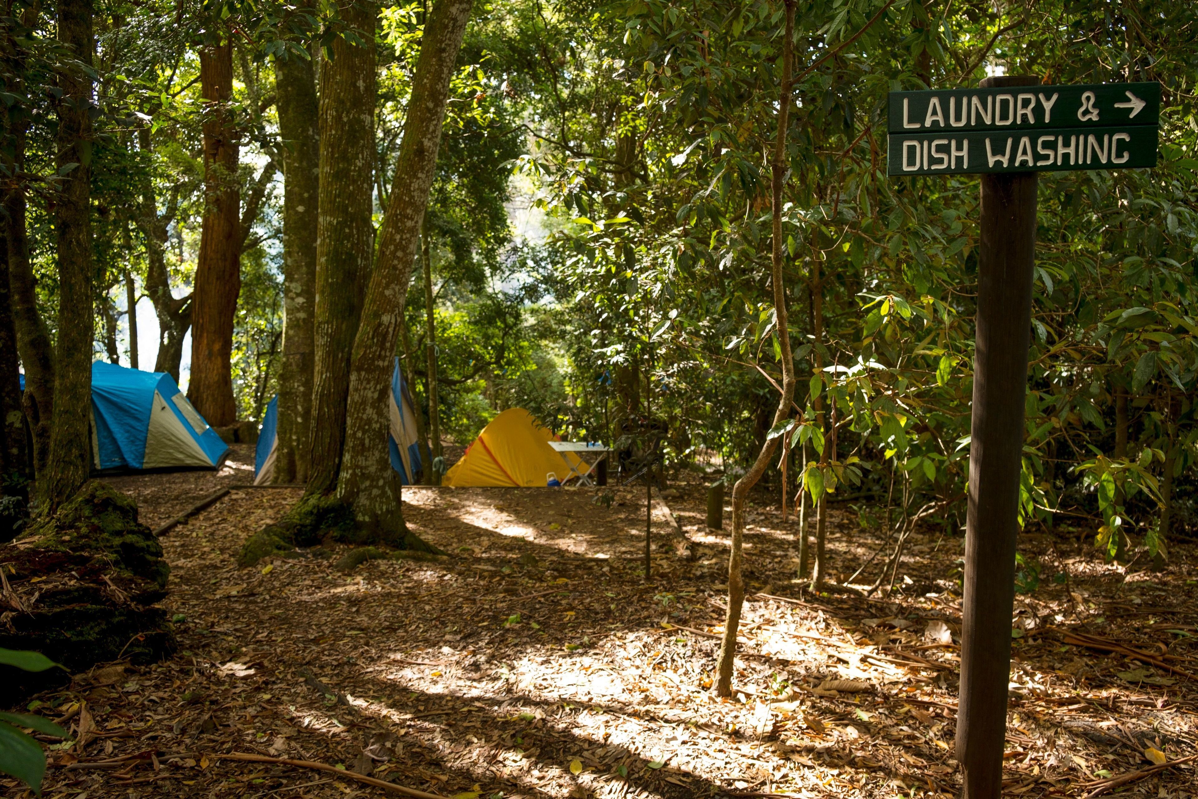Binna Burra Sky Lodges