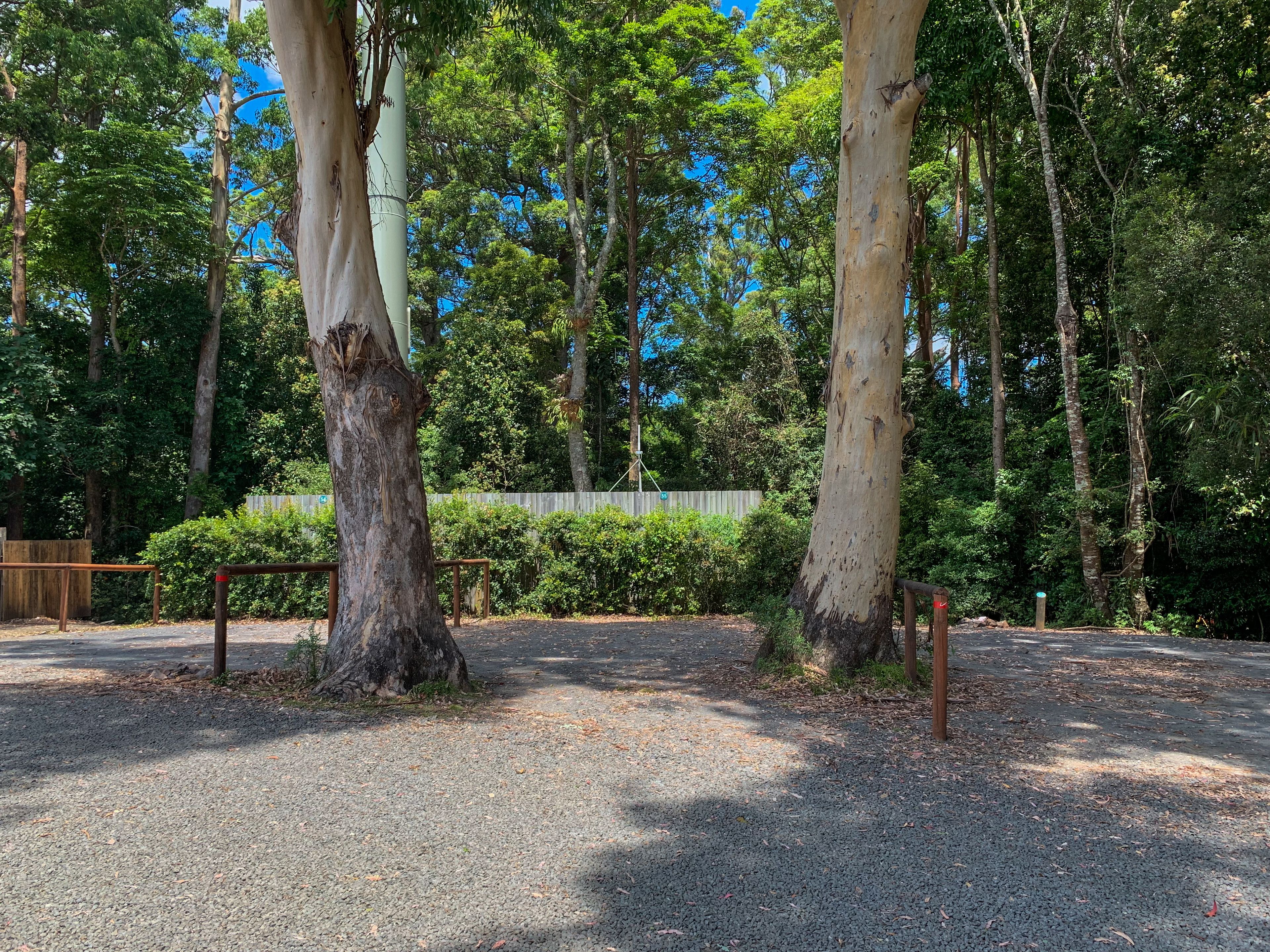 Binna Burra Sky Lodges