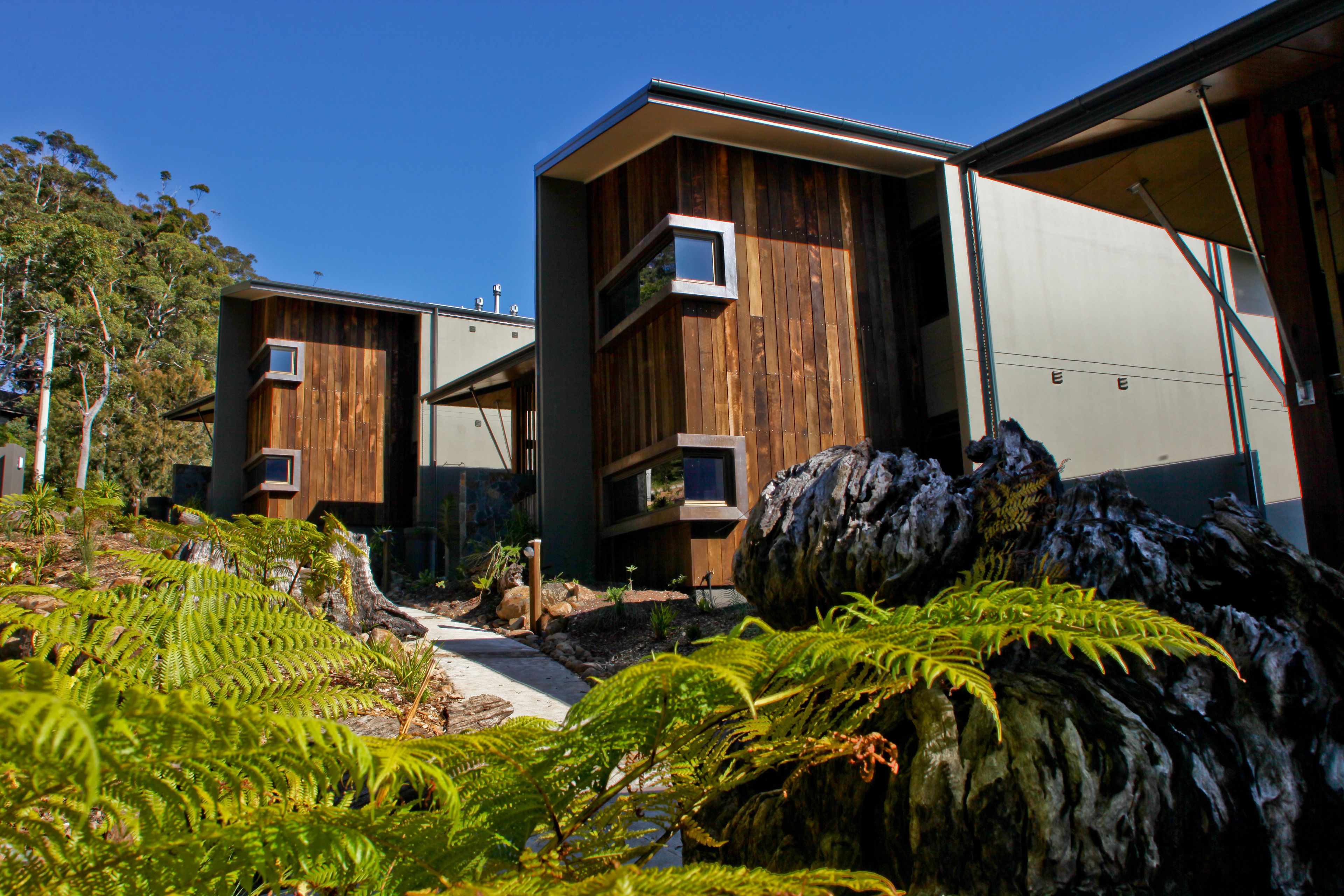 Binna Burra Sky Lodges