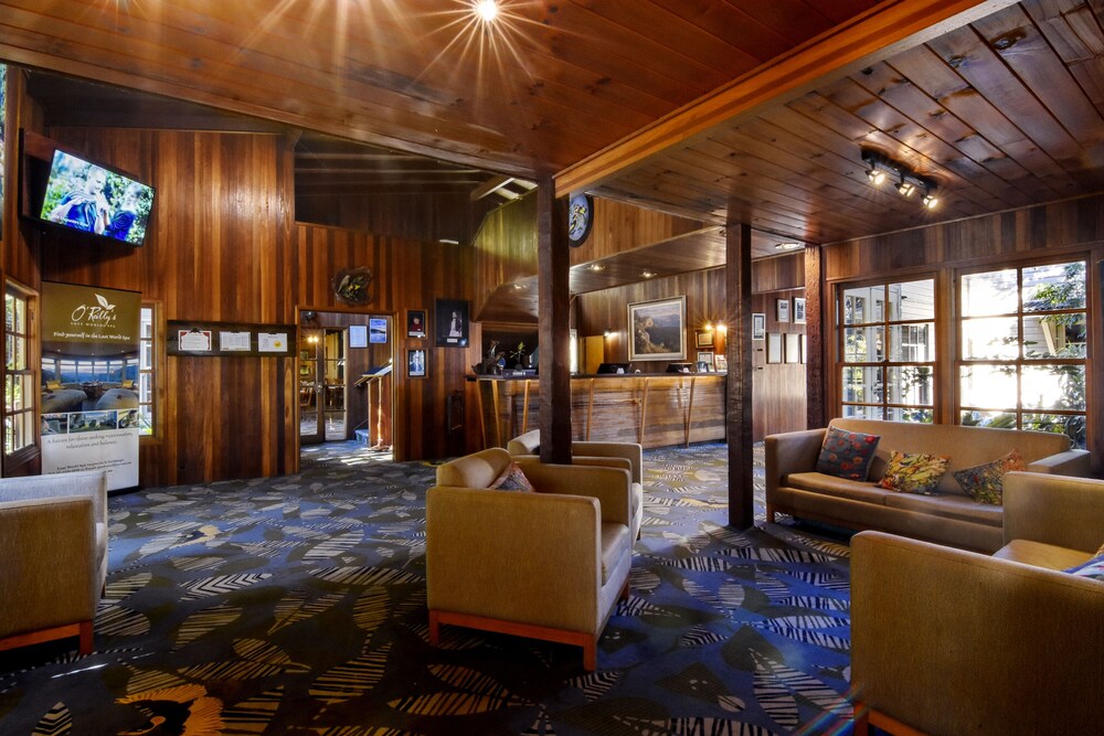 Lobby lounge, O'Reilly's Rainforest Retreat